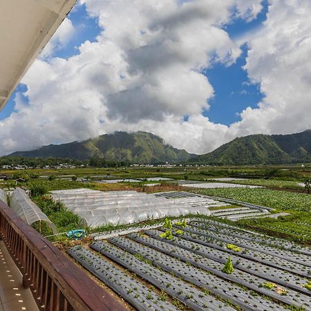 Teras Sawah Guest House Syariah Sembalunlawang Exteriér fotografie