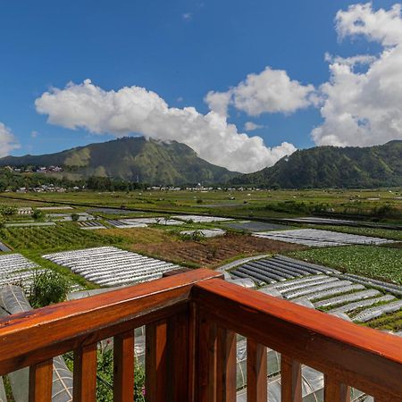 Teras Sawah Guest House Syariah Sembalunlawang Exteriér fotografie