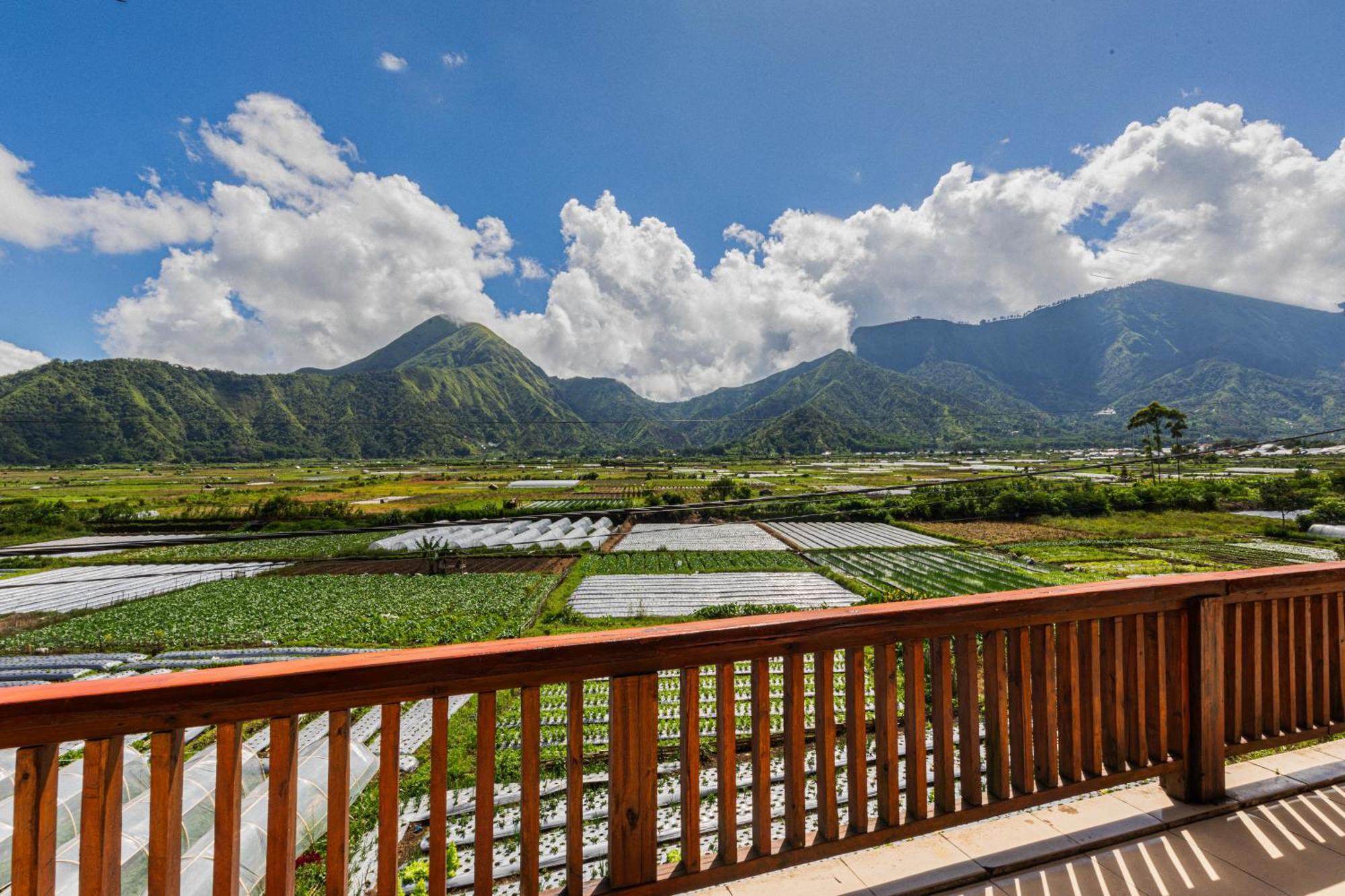 Teras Sawah Guest House Syariah Sembalunlawang Exteriér fotografie