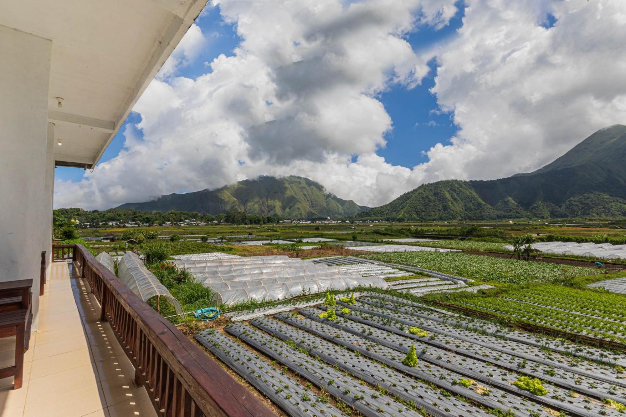 Teras Sawah Guest House Syariah Sembalunlawang Exteriér fotografie