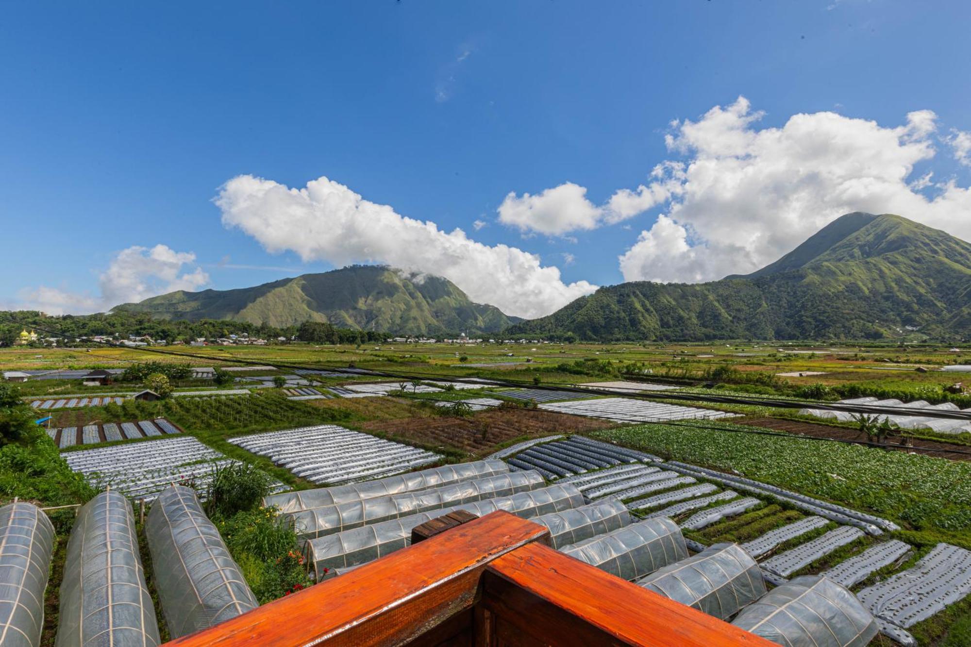 Teras Sawah Guest House Syariah Sembalunlawang Exteriér fotografie