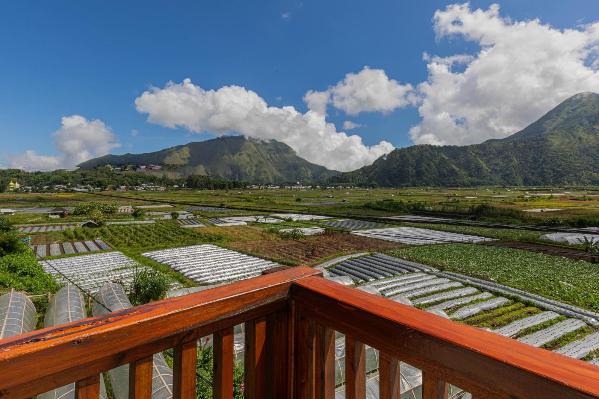 Teras Sawah Guest House Syariah Sembalunlawang Exteriér fotografie